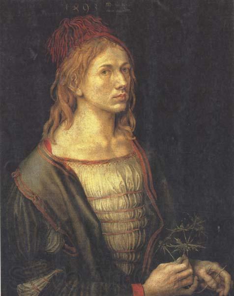 Albrecht Durer Self-Portrait (mk45) Germany oil painting art